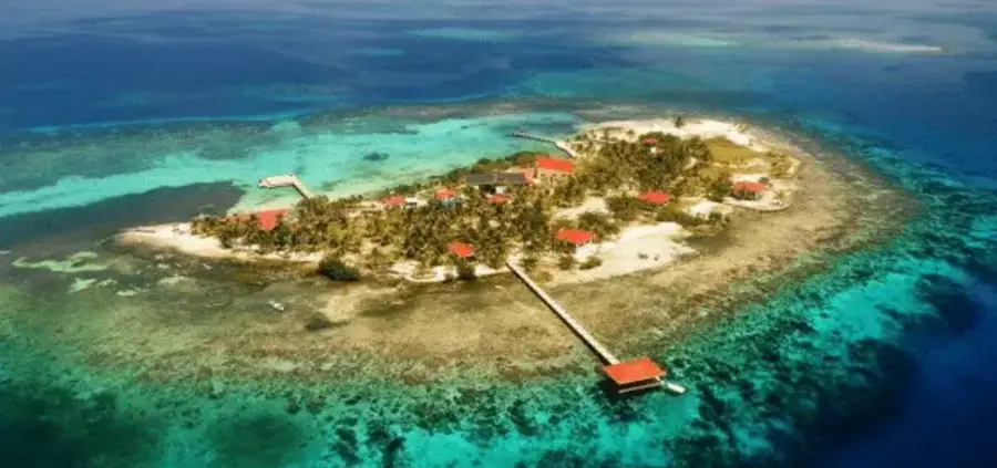 ثبت شرکت در بلیز