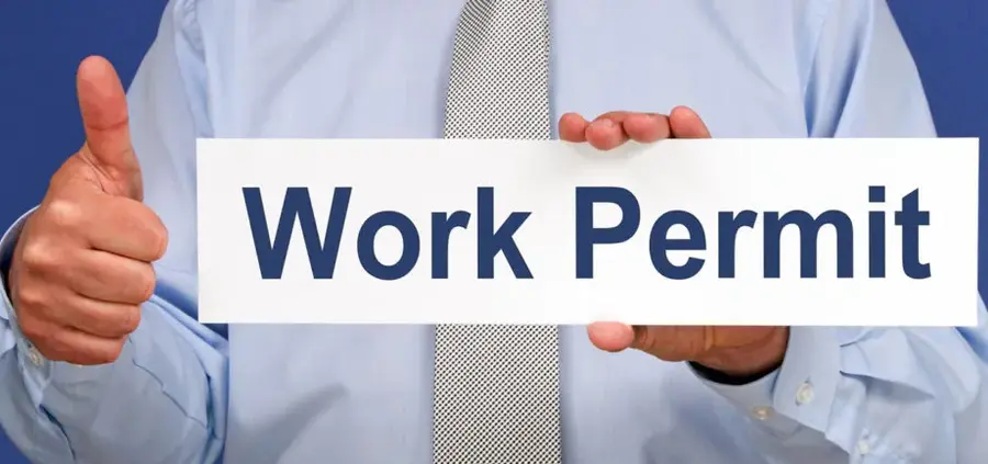 ویزای کار ایرلند